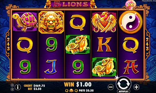 5 Lions