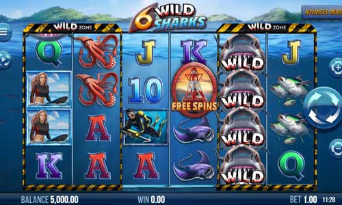 6 Wild Sharks