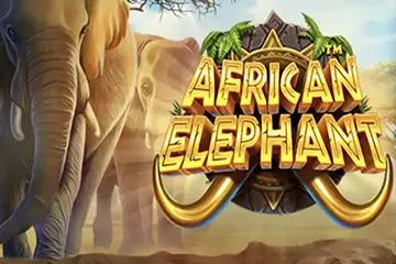 African Elephant spelautomat