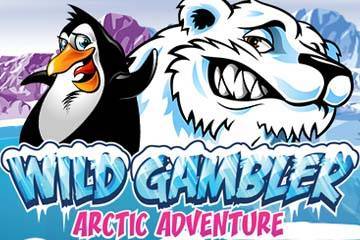 Wild Gambler Arctic Adventure spelautomat