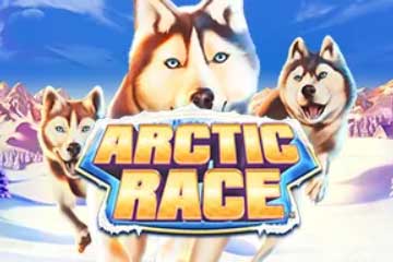 Arctic Race spelautomat