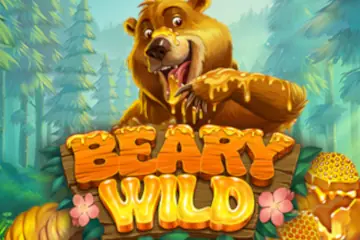 Beary Wild spelautomat
