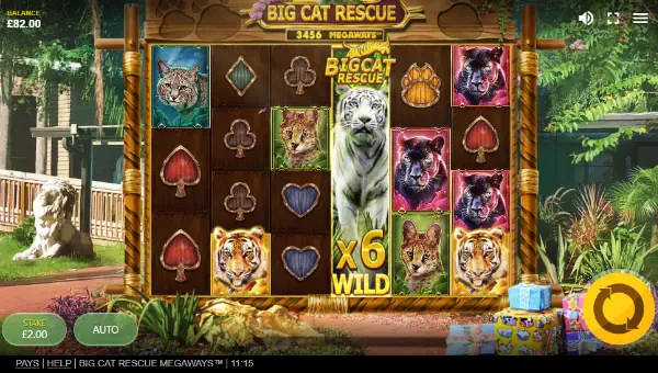 Big Cat Rescue Megaways