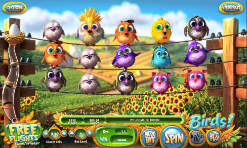 Birds