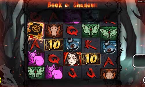 Book of Shadows