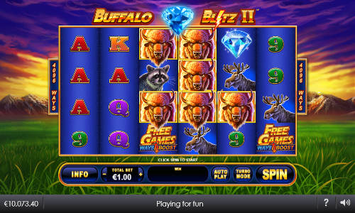 Buffalo Blitz II