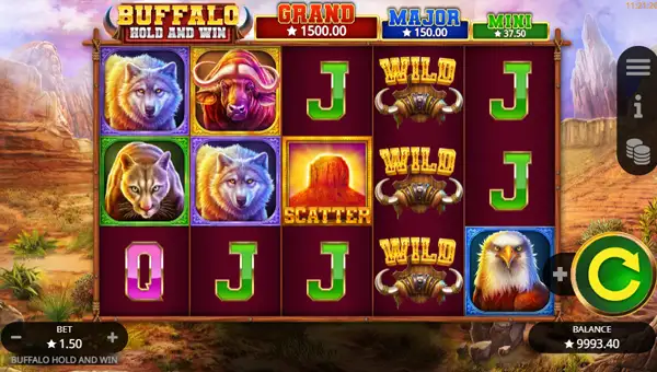 Buffalo