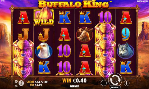Buffalo King