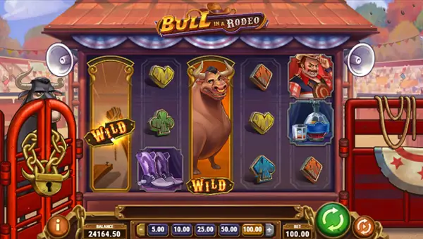Bull in a Rodeo