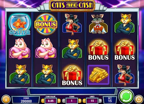 Cats And Cash