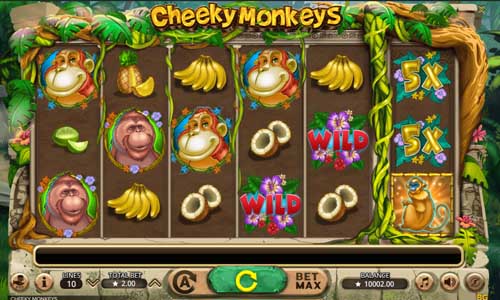 Cheeky Monkeys