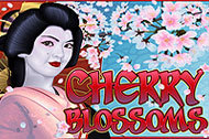 Cherry Blossoms spelautomat