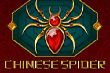 Chinese Spider