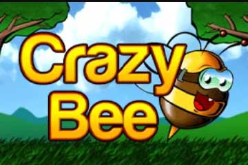 Crazy Bee