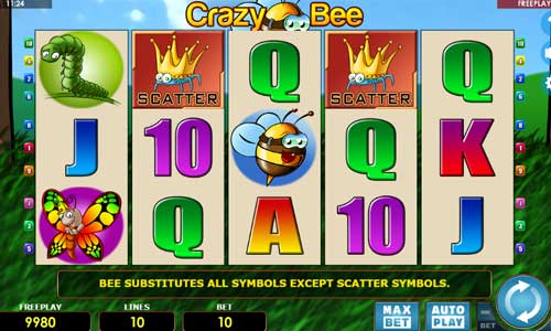 Crazy Bee