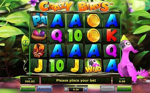 Crazy Birds
