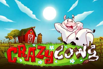 Crazy Cows