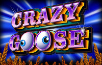 Crazy Goose spelautomat