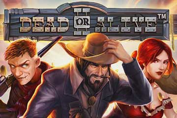 Dead or Alive 2 slot