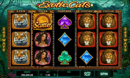 Exotic Cats