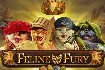 Feline Fury spelautomat
