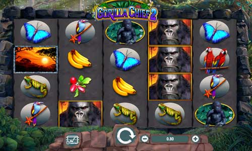 Gorilla Chief 2
