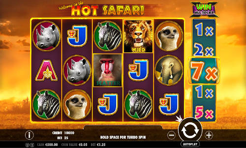 Hot Safari