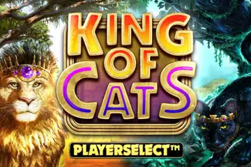 King of Cats Megaways spelautomat