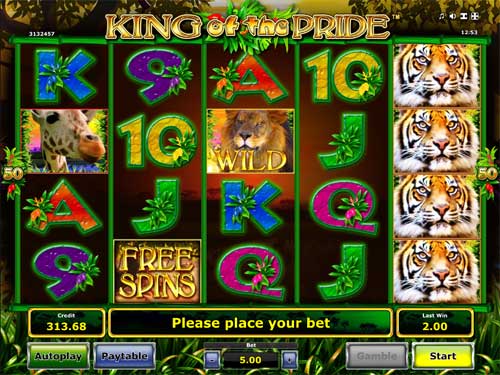 King of the Pride