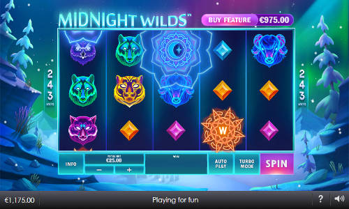 Midnight Wilds