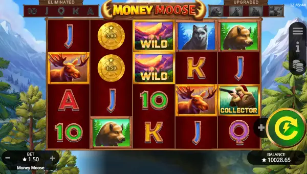 Money Moose