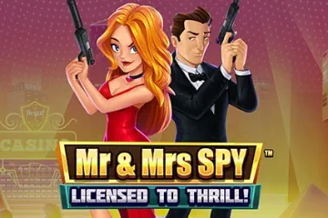 Mr and Mrs Spy spelautomat