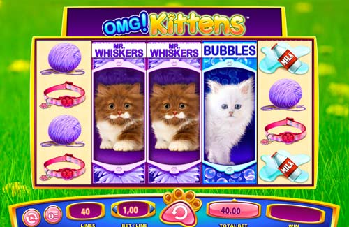 OMG Kittens