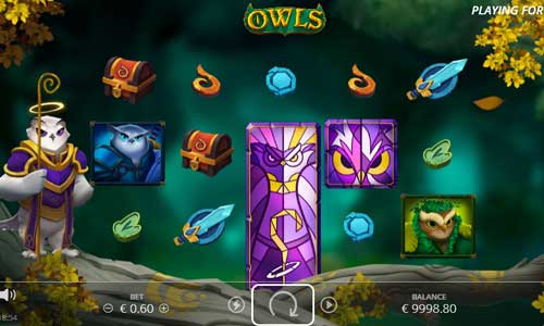 Owls