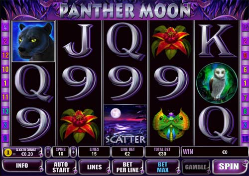 Panther Moon