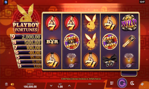 Playboy Fortunes