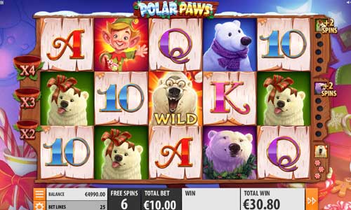 Polar Paws