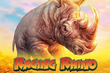 Raging Rhino