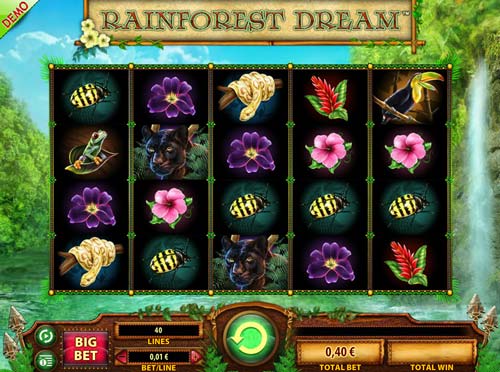 Rainforest Dream