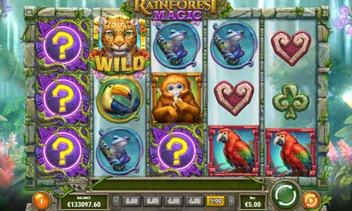 Rainforest Magic