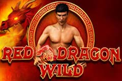 Red Dragon Wild spelautomat