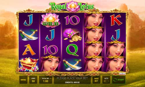 Royal Lotus