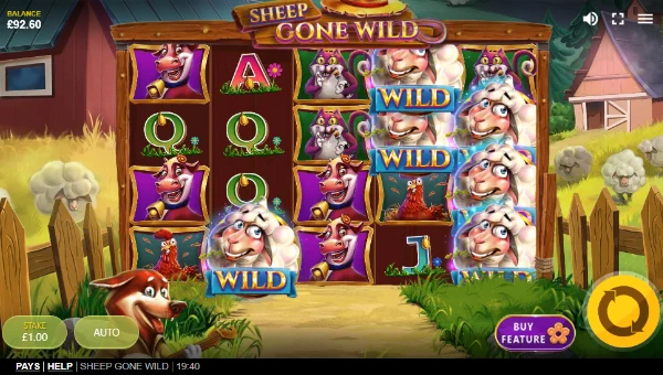 Sheep Gone Wild