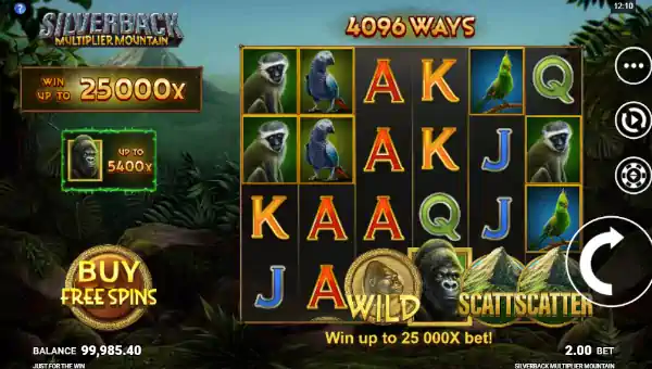 Silverback Multiplier Mountain