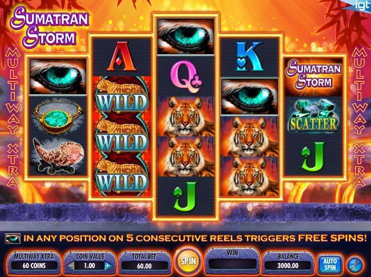 Sumatran Storm spelautomat