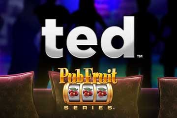 Ted Pub Fruit spelautomat