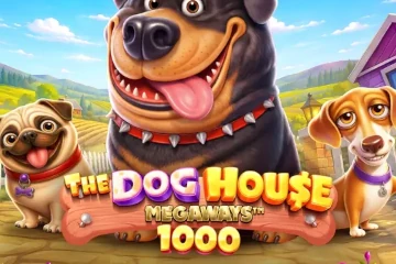 The Dog House Megaways 1000 slot