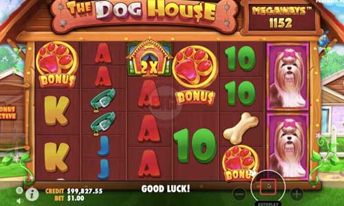 The Dog House Megaways