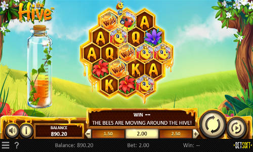 The Hive