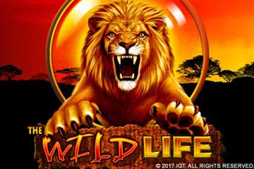 The Wild Life spelautomat